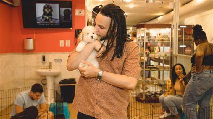 Can you return a puppy to a pet store?
