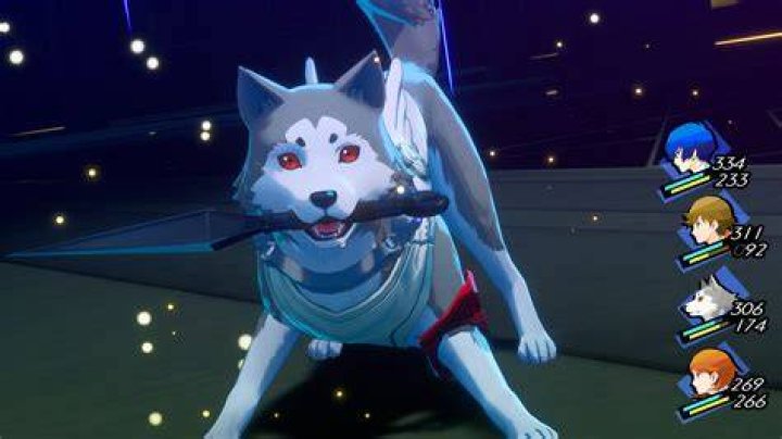 Does Koromaru persona evolved?