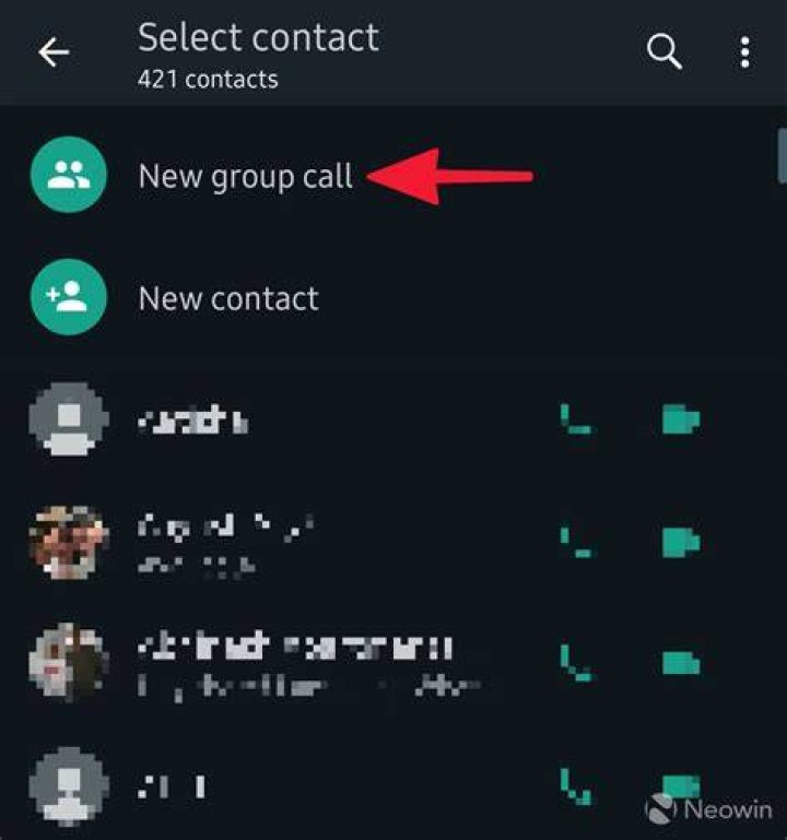 How do I make a group call online?