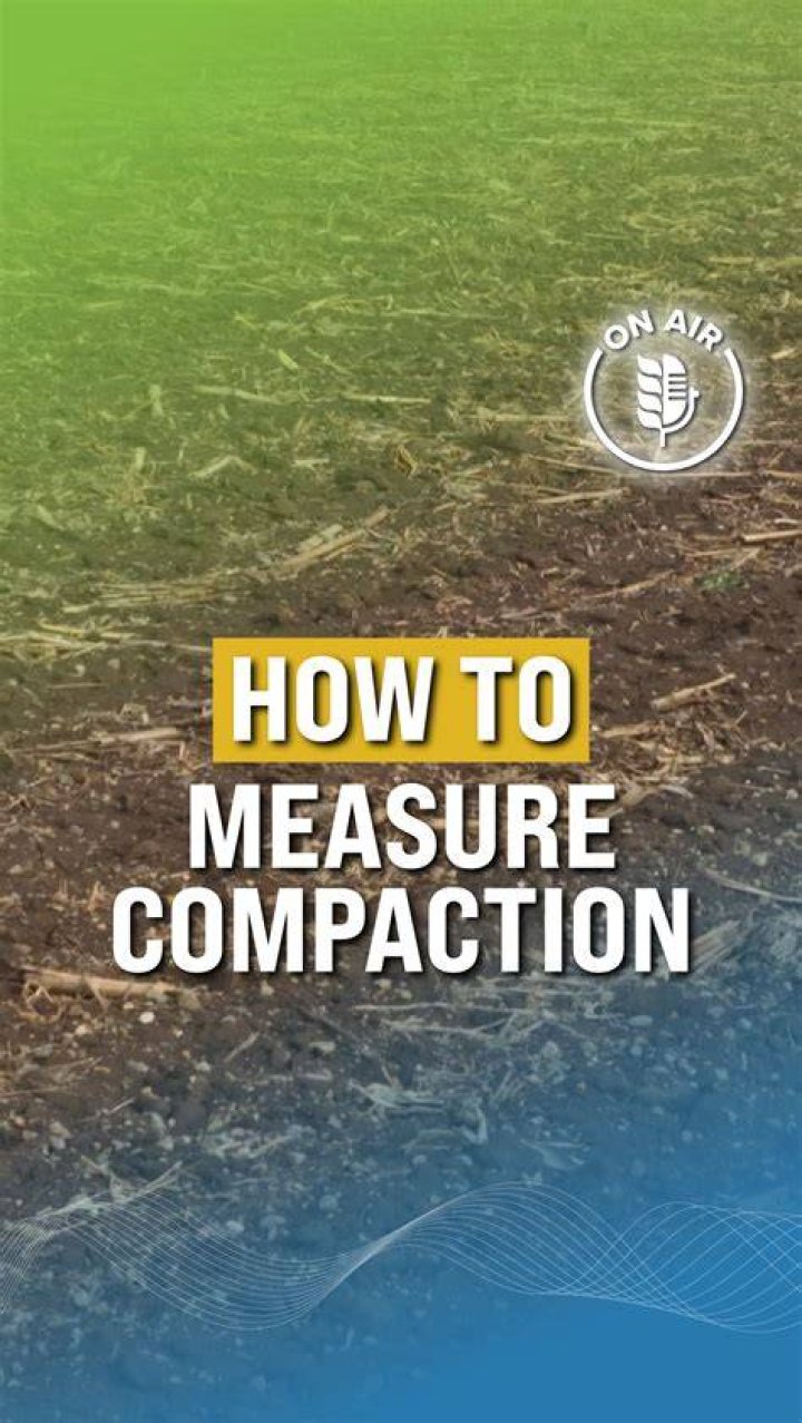 How do you measure Kow?