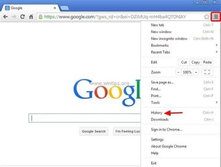 How do you view private browsing history on Google Chrome?