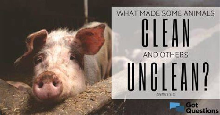 Is Goat clean or unclean?