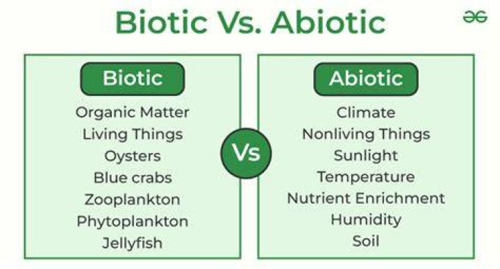 Is Petroleum biotic or abiotic?