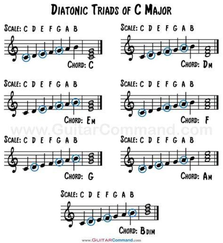 What are the diatonic chords?