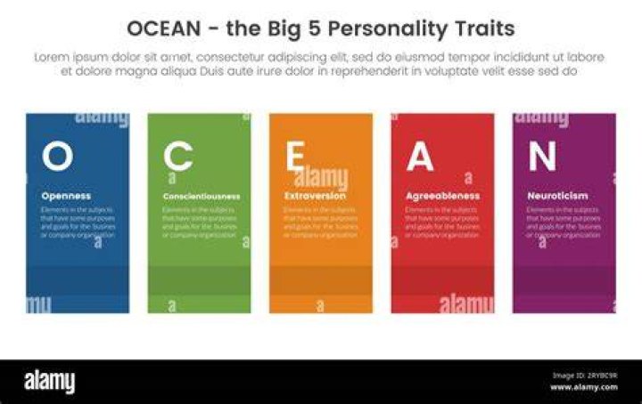 What is a rectangle personality?