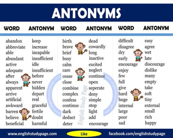 What is an antonym for mummy?