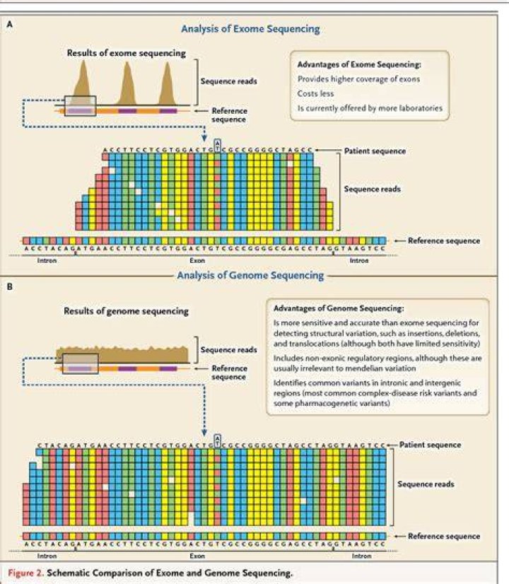 What is diagnostic sequencing?