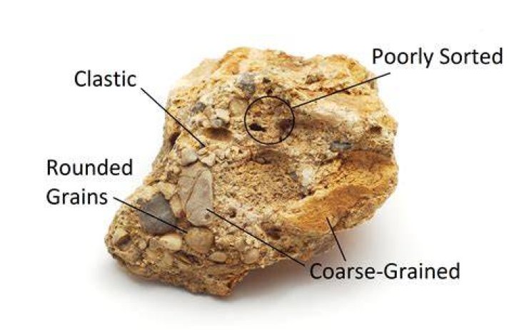 What is the type of conglomerate?