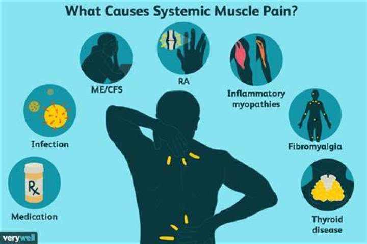 Why do all of my muscles ache?