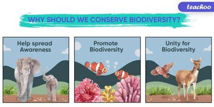 Why should we conserve biosphere?